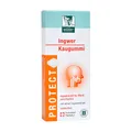 PROTECT Ingwer Kaugummi 20 St