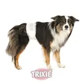 TRIXIE 2X Rüdenwindeln, Hundewindeln - Einwegwindeln, 12 Stück (M-L, 46-60 cm)