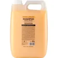 Stapiz | Friseurschampoo BASIC - 5000 ml - Pflegendes Haarshampoo - Feuchtigkeit - Glanzpflege
