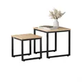 SoBuy Betttisch,Beistelltisch,Kaffeetisch,Sofatisch,Laptoptisch,FBT44-N