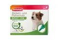 beaphar Zeckenschutzmittel Zecken- und Flohschutz SPOT-ON für Hunde bis 15 kg