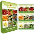 Deine Gartenwelt Obst Samen-Set mit 9 Sorten