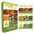 Obstsamen-Set 9 Sorten Samen - Saatgut für Obst - Physalis Erdbeere Goji Melone