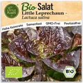 Romanasalat Samen (BIO) - 250 Samen Salatsamen Römersalat Little Leprechaun