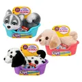 Little Live Pets My Really Real Hundewelpe Mini (Assortiert - 1 Stück) (21 cm) (33726611)