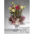 Glasschale Servierschale von Sandra Rich Serie BOWL Transparent 14cm