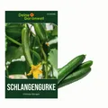 Freilandsalatgurke Chinese Slangen Samen - Cucumis sativus - Gurkensamen