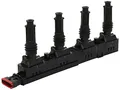 Delphi GN10207-12B1 Zndspule
