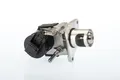 BorgWarner 710327D AGR-Ventil für BMW