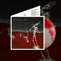 VED BUENS ENDE - written in waters DLP swirl