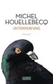 Unterwerfung: Roman von Houellebecq, Michel | Buch | Zustand sehr gut