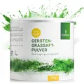 KRAFTGRAS Gerstengrassaft-Pulver BIO [200g] - naturreines Gersten-Grassaftpulver aus grünem Gerstengras [vegan & glutenfrei] für Saft, Smoothie & mehr - komplett natürlich & ohne Zusätze
