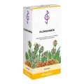 Flohsamen Kerne 300 g