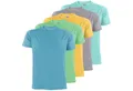 ALPIDEX Rundhalsshirt ALPIDEX T-Shirts Herren 5er Set Rundhals – in vielen Farben & Größen