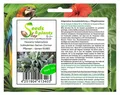 15x Faucaria tuberculosa Sukkulenten Garten Zimmer Pflanzen - Samen B1485
