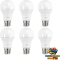 LED Lampe E27 13,5W 5000K 1560 L