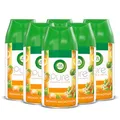 Air Wick Freshmatic Max Raumspray – Nachfüller für den Air Wick Freshmatic Max – Duft: Pure Mandarine und Limette – 6 x 250 ml Nachfüller