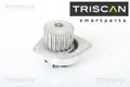 TRISCAN 860010002 Wasserpumpe Wapu für Citroen für Nissan für Peugeot