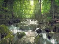 Wasserfall - Bedruckter Zaun Sichtschutzstreifen