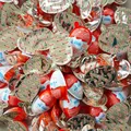 40x KINDER JOY Schokolade Hälften (ohne Spielzeug) lecker lecker