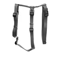 Wolters | Professional No Escape graphite | 50-70 cm