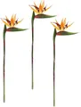 Kunstblume Künstliche Blume Strelitzie Paradiesvogelblume Exotischer Dekozweig, I.GE.A., Höhe 60 cm, Zweig Einzelblume Dekoblume Stielblume Hochzeit Dekoration
