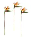 Strelitzia Kunstblume groß realistisch – 3er Set 60cm Paradiesvogelblume künstlich, Tropische Kunstpflanze Deko künstliche Blumen für Vase exotische Wohnzimmer Dekoration künstliche Strelitzia Blume