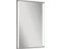 Spiegelelement Line 67x42,5 cm FACKELMANN IP 20