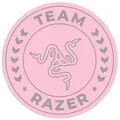 RAZER Team Razer Floor Rug pk/quartz