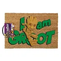 Pyramid – Paillasson en Fibre de Coco – I Am Groot – 40x60cm – Licence officeille