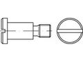 100 x Flachkopfschrauben mit Schlitz undAnsatz DIN 923 4.8/5.8 M 8 x 8, CAB FAST