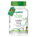 NADH 50 mg - 60 zeitverzögerte DRcaps® hochdosiert | Energie | VEGAN | fairvital