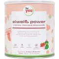 Power Eiweiß-Pulver nach Dr. Strunz 750g - gut lösliches Mehrkomponenten Eiweiß: Molke, Soja-, Milch-, Hühnerei-Protein + L-Carnitin Vitamine Mineralstoffe (Einzeldose, Erdbeer-Rhabarber)