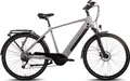 SAXONETTE E-Bike Deluxe Sport ,10 Gang, Mittelmotor, 418 Wh integrierter Akku, Pedelec, Elektrofahrrad, Trekkingrad (Ramenhöhe 54 , Silber)
