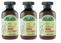 3x Antica Erboristeria Shampoo Ortica Nessel Shampoo für fettiges Haar 250ml
