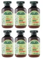 6x Antica Erboristeria Shampoo Ortica Nessel Shampoo für fettiges Haar 250ml