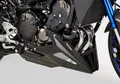BODYSTYLE Raceline Bugspoiler ABS Kunststoff schwarz-matt für YAMAHA MT-09 / SP
