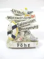 Föhr Magnet Souvenir Germany Urlaub Wattwandern Salzwiesen Entspannung