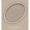 A.S. Création Wandfarbe, Wand- und Deckenfarbe Seidenmatt Innenfarbe 6015 2,5l Matte Mushroom beige