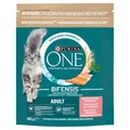 8002205358902 PURINA One Bifensis Adult Salmon - Trockenfutter für Katzen - 800