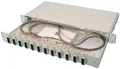 DIGITUS LWL Spleißbox bestückt LC OS2 Glasfaser (DN-96331/9)