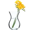 KADAX Blumenvase, 18cm Vase aus Glas, ⌀8cm Glasblumenvase mit einem 11cm Hals, Durchsichtige Tischvase, Klarglasvase, Glasvase für Blumen, Dekovase für Wohnzimmer (18cm / 1 Stück)
