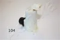 ASHIKA 156-01-104 Waschwasserpumpe, Scheibenreinigung passend für NISSAN