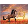 JUNAPACK Einladungskarten Pferd Einladungen zum 9. Kindergeburtstag Fohlen Karten Mädchen, Einladungskarten zum neunten Geburtstag mit Pferd Motiv