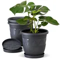 Plastard Blumentopf 3er Set 21 cm Durchmesser Anthrazit runder Pflanzkübel mit Untersetzer aus Kunststoff witterungsbeständiger Übertopf großer Pflanztopf Kräutertopf für Innen und Außen