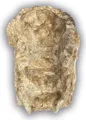 Wasserkaskaden Wasserfall WESER Kaskade Fels, Beige/Braun, 80 x 55 x 50 cm