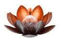 Dehner LED Solarleuchte Solarleuchte Lotus, warmweiß / kaltweiß, Ø 27.5 cm, Höhe 12 cm, Metall, Kaltweiß, Warmweiß, Kunstvolle Deko-Blüte mit Leuchteffekt