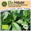 Feldsalat Samen (BIO) - 400 Samen Gemüsesamen Feldsalatsamen Grote Noordhollands