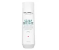 Goldwell Dualsenses Scalp Specialist Anti-Dandruff Shampoo 250 ml