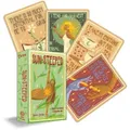 Shannon Christie Sun-Steeped (Cards) (US IMPORT)